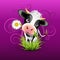 Holstein cow in grass over purple