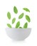 Holy basil in bowl on white background