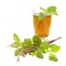 Holy Basil Tulsi Tea Ayurvedic Remedy