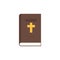 Holy Bible color icon in flat style, vector