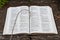 Holy Bible open with small staff on top. Highlighting Psalm 23.