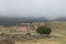 Holy City. The ruins of the ancient Hierapolis city next to the travertine pools of Pamukkale, Turkey