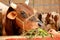 Holy cow eating inside a Hindu temple.