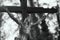 Holy cross with crucified Jesus Christ religion, faith, holy, s