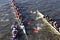 Holy Cross (left) Boston College (middle) Wesleyan (right) races in the Head of Charles Regatta