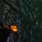 Holy ghats at Haridwar, India, sacred town for Hindu religion. Pilgrims offering floating flowers and burning candles to the Gange