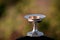 Holy Grail. Elegant, silver, vintage cup on blurry background