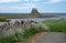 Holy Island