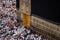 Holy Kaaba, Islamic ritual - tawaf