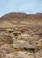 Holy Land Series- Ramon Crater Makhtesh - desert blossom 13