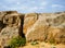 Holy Land Series - Ramon Crater Makhtesh - desert blossom 15