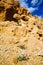 Holy Land Series - Ramon Crater Makhtesh - desert blossom 26