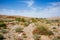 Holy Land Series- Ramon Crater Makhtesh - desert blossom 27