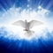 Holy spirit bird flies in skies, bright light shines from heaven