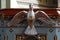 Holy Spirit bird statue at the pulpit in the church Birth of the Virgin Mary in Granesina, Croatia