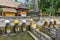 Holy spring water at Goa Gajah temple