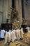 Holy Thursday, Mass Lord`s Supper in Zagreb cathedral