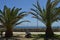 Holy Tip View From The Viewpoint Of Africa With A Cannon Between Two Palm Trees In Tarifa. Nature, Architecture, History, Street