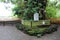 Holy tree with shimenawa at Kato Jinja Shrine around Kumamoto Castle