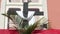 Holy Week Palm Sunday - religious symbol