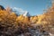 Holy Xiannairi mountain with autumn pine forest