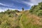 Holyrood Park