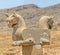 Homa Bird in Persepolis