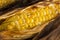 Homade Grilled Corn on the Cob