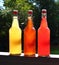 Home Brewed Kombucha in three Flavors