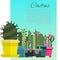 Home cactus garden poster, vector cartoon illustration. Green plant, flower and nature, pot and set of houseplants