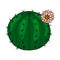 Home cactus plants or flower. Cozy cute element. Exotic or tropical succulent with prickles. Engraved hand drawn in old