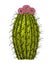 Home cactus plants or flower. Cozy cute element. Exotic or tropical succulent with prickles. Engraved hand drawn in old