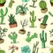 Home cactus plants with prickles and nature elements in pots and flowers. exotic or tropical. various succulents