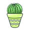 Home cactus pot, succulent green flower decor