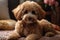 At home charm Adorable poodle dog on the cozy living room carpet