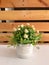 Home decor - artificial beautiful flower pot