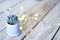 Home decor objects, a miniature cactus plant. Small plant with fairy lights for home interior decoration