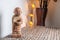 Home decorative standing miniature monk statue