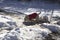 Home dog in the winter forest. The little dog walks alone in the snow.