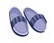 Home footwear slippers. Soft comfortable slip on shoe for home. Pair slippers, textile domestic outfit element or