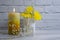 Home fragrance, flower,  holiday aromatherapy  candle burns therapy wellness