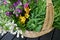 Home: fresh spring produce and flowers in basket