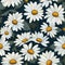 Home furnishing design daisy illustration for feminine touch