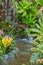 home garden backyard waterfall green nature zone