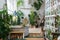 Home garden in boho style. Scandinavian interior design of winter indoor garden with houseplants