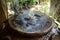 Home Garden Decorated With Vintage Fountain