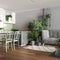 Home garden, dining and living room in white and gray tones. Island with chairs, parquet and mani houseplants. Urban jungle