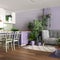 Home garden, dining and living room in white and purple tones. Island with chairs, parquet and mani houseplants. Urban jungle