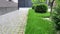 Home garden landscape with stone path and green lawn