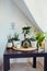 Home gardening concept. Composition of various green air plants, bonsai tree, succulents in pots on the black table. Beige wall
